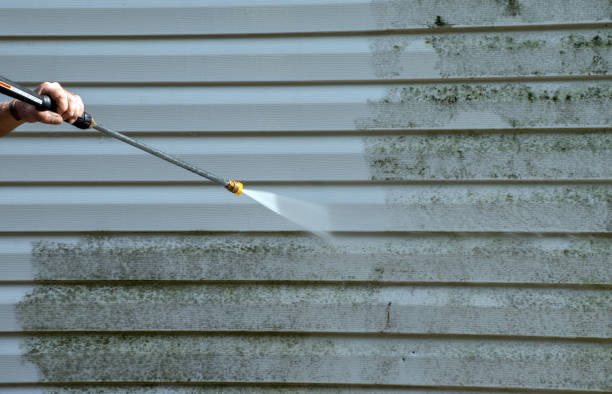Professional Pressure Washing in Boyd, TX